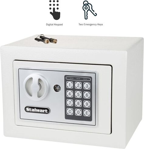 Digital Safe - Electronic Steel Safe with Keypad and Manual Override Keys - Protect Money, Jewelry, Passports - For Home, Business by Stalwart (Pink) in Saudi Arabia