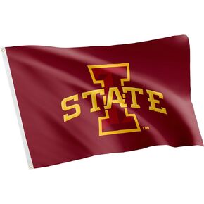 Desert Cactus Iowa State University Flag ISU Cyclones Banners 100% Polyester Indoor Outdoor 3x5 feet Flags (Style 1)