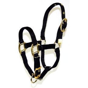 Hamilton 8DA SMBL 3/4-Inch Nylon Adjustable Arabian Horse Halter for 500 to 800-Pound Horse, Blue