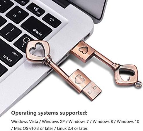 لطيف محرك فلاش USB مفتاح 64GB، Wiedeus الكلاسيكية الرجعية المعادن الذاكرة عصا على شكل قلب محركات الإبهام in Kuwait