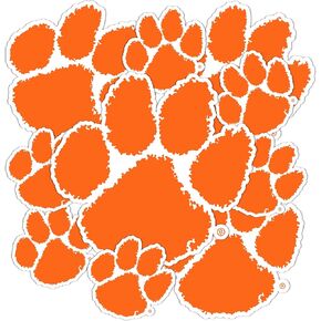 Desert Cactus Clemson University Stickers Tigers Vinyl Decals Laptop Water Bottle Car Scrapbook T3 (Type 3-1)
