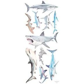 Large Realistic Sharks Sticker Sheet - 10 Pieces