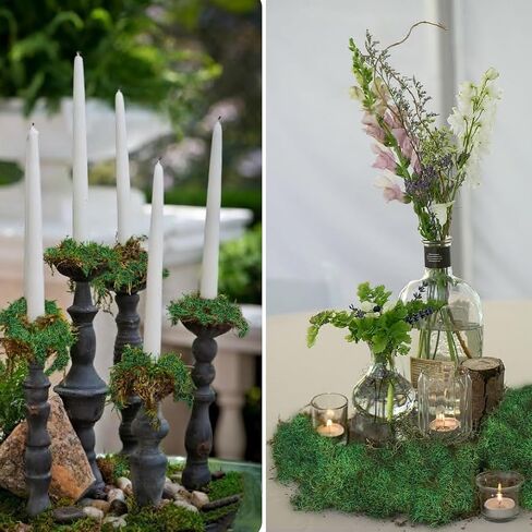 ورقة الطحالب المحفوظة للنباتات بوعاء النباتات المجففة الطبيعية المحفوظة بساط الطحالب الخضراء 3.5 أوقية أوراق الطحالب للمزارعين الحرف اليدوية ديكور الغابات حديقة ديكورات الحفلات جدار الفن DIY مشروع أخضر فاتح in Kuwait