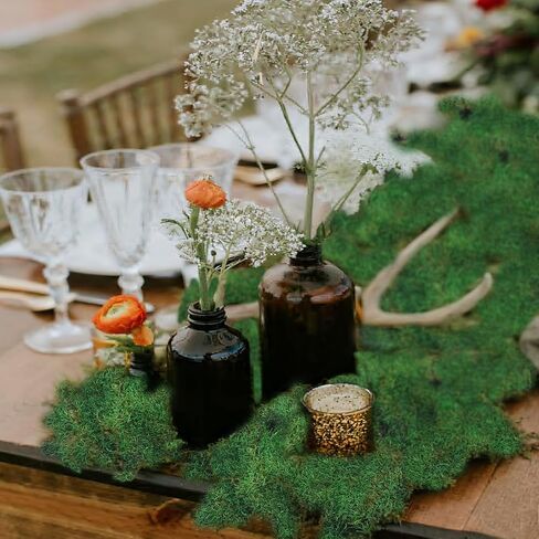 ورقة الطحالب المحفوظة للنباتات بوعاء النباتات المجففة الطبيعية المحفوظة بساط الطحالب الخضراء 3.5 أوقية أوراق الطحالب للمزارعين الحرف اليدوية ديكور الغابات حديقة ديكورات الحفلات جدار الفن DIY مشروع أخضر فاتح in Kuwait