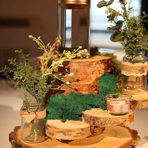 ورقة الطحالب المحفوظة للنباتات بوعاء النباتات المجففة الطبيعية المحفوظة بساط الطحالب الخضراء 3.5 أوقية أوراق الطحالب للمزارعين الحرف اليدوية ديكور الغابات حديقة ديكورات الحفلات جدار الفن DIY مشروع أخضر فاتح in Kuwait