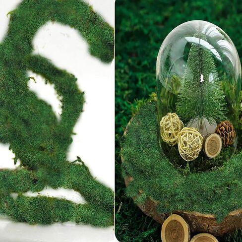 ورقة الطحالب المحفوظة للنباتات بوعاء النباتات المجففة الطبيعية المحفوظة بساط الطحالب الخضراء 3.5 أوقية أوراق الطحالب للمزارعين الحرف اليدوية ديكور الغابات حديقة ديكورات الحفلات جدار الفن DIY مشروع أخضر فاتح in Kuwait