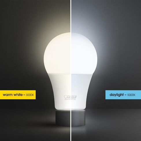 لمبة إضاءة LED A19 كهربائية من Feit، ما يعادل 75 وات، قابلة للتعتيم، 1100 لومن، قاعدة قياسية E26، ضوء نهاري 5000 كلفن، 90 CRI، لمبة إضاءة قياسية، تقييم رطب، عمر 22 عامًا، OM75DM/950CA/2/6، 12 حزمة in Saudi Arabia