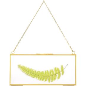 NCYP 4" x 9" Horizontal Brass Double Glass Picture Frame Wall Hanging, Photo Specimen Card Holder, Modern Home Geometric Decor Display Gift (No Plants)
