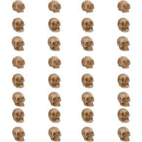 SUPERFINDINGS 40PCS Mini Skull Figurines Halloween Theme Resin Skull Display Decoration Skeleton Head Tiny Skull Miniature Figures for Landscape Ornament Potted Halloween Party Decorations