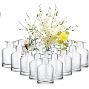 24 Pack Glass Living Bud Vases Bulk Flower Small Vase Clear Vase, Glass Jar Vases Centerpiece Table Home Glass Decoration for Rustic Wedding Reception (2 x 2.8 in)