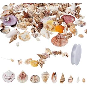 Pandahall 134pcs Natural Sea Shell Beads Spacer Drilled Seashells Loose Ocean Shell Beads with Clear Elastic Beading Cord for DIY Jewelry Making Necklace Bracelet Charms Fish Tank Vase Filler