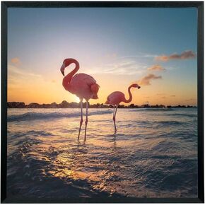 20x21 Picture Frame Solid Wood 20x21 Poster Frame for Wall 20x21 Photo Frames Family Black (T22B2021)
