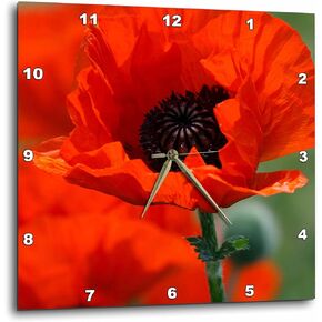 3dRose dpp_29205_3 Beautiful Red Poppy Wall Clock, 15 x 15