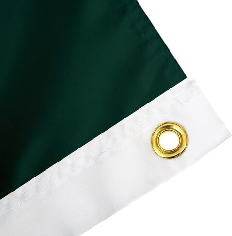 Desert Cactus Michigan State University Flag Spartans MSU Flag Banners 100% Polyester Indoor Outdoor 3x5 feet Flags (Style 5) in Saudi Arabia