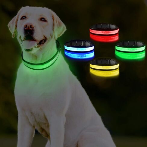 طوق كلب LED، طوق حيوانات أليفة قابل لإعادة الشحن عبر USB قابل للتعديل مع وميض ثابت/ضوء ستروب، ضوء طوق كلب مقاوم لرذاذ الماء للكلاب الصغيرة والمتوسطة والكبيرة (M (15.8 بوصة ~ 20.5 بوصة)، أخضر) in Kuwait
