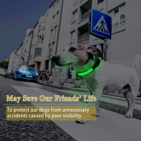 طوق كلب LED، طوق حيوانات أليفة قابل لإعادة الشحن عبر USB قابل للتعديل مع وميض ثابت/ضوء ستروب، ضوء طوق كلب مقاوم لرذاذ الماء للكلاب الصغيرة والمتوسطة والكبيرة (M (15.8 بوصة ~ 20.5 بوصة)، أخضر) in Kuwait