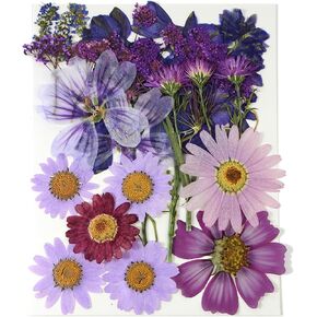 Purple Dried Pressed Flowers Real Natural Petals Bulk for Scrapbooking Art Crafts DIY Gift Papermaking Resin Party Decorations Candle Soap Card Jewelry Making Supplies