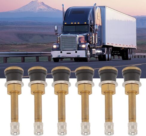 The Truck Valve stem 10 Pcs Valve Stems Straight Brass Heavy Duty Clamp in Tubeless Truck Tire Valve Core Fits for approximate 0.625in/15.87mm Diameter Valve Rim Holes in Saudi Arabia
