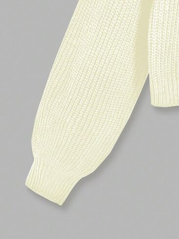 WDIRARA Women's Plus Size Round Neck Long Sleeve Crop Sweater Ribbed Knit Pullovers in Kuwait