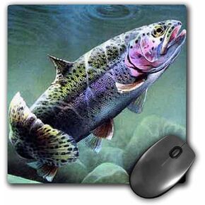 3dRose LLC 8 x 8 x 0.25 Inches Mouse Pad, Rainbow Trout (mp_3462_1)