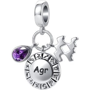 YSAHan 12 Zodiac Signs Happy Birthday Constellations Charm Birthstone Bead for Pandora Bracelet
