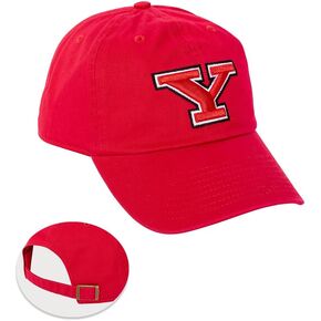 Desert Cactus Youngstown State University Baseball Hat YSU Penguins Brimmed Embroirderd Hats Cap Adjustable Cloth Strap Adult (Style A) Red
