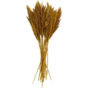 Deco 79 Dried Plant Pampas Natural Foliage with Long Stems, 2" x 1" x 35", Copper