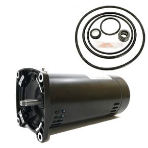 Puri Tech Replacement Motor Kit for Sta-Rite Dyna-Glas 1HP MPRA6E147L AO Smith USQ1102 with GO-KIT-47