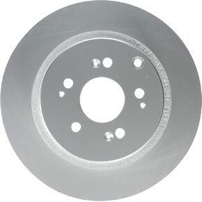 Raybestos 980349FZN Rust Prevention Technology Coated Rotor Brake Rotor-Dih Parking Brake, 1 Pack