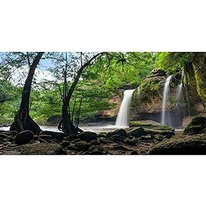 AWERT Waterfall Terrarium Background Tropical Rainforest Aquarium Background Lake Stone Rocky Reptile Habitat Background 36x18 inches Durable Polyester Background