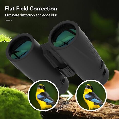 مناظير SVBONY SA205 8x42 ED، مناظير مسطحة مع محول الهاتف، مناظير مطاطية للطيور للبالغين، مناظير FMC Bak4 مع حزام لمشاهدة الطيور في الهواء الطلق in Kuwait