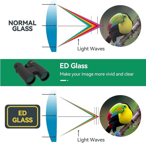 مناظير SVBONY SA205 8x42 ED، مناظير مسطحة مع محول الهاتف، مناظير مطاطية للطيور للبالغين، مناظير FMC Bak4 مع حزام لمشاهدة الطيور في الهواء الطلق in Kuwait