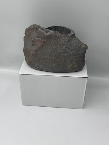 Rough Gray Aquarium Plant Holder - (Rough Gray) in Saudi Arabia