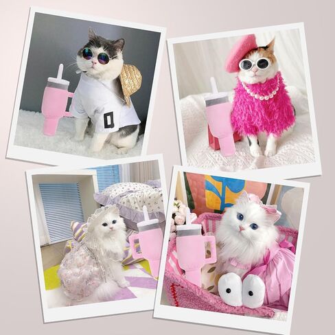 Mity rain Catnip Toys for Cats, Cute Cat Pupcup Tumbler Toys Funny Indoor Cat Chew Toys Interactive Cat Toy with Cute Expression for Pet Presents Cat Birthday Toy in Saudi Arabia