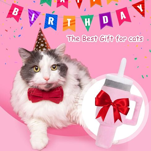 Mity rain Catnip Toys for Cats, Cute Cat Pupcup Tumbler Toys Funny Indoor Cat Chew Toys Interactive Cat Toy with Cute Expression for Pet Presents Cat Birthday Toy in Saudi Arabia