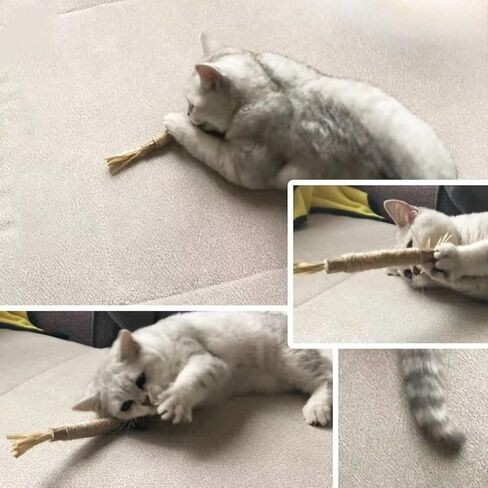 cat chew Sticks - 3 Pack, Catnip chew Sticks cat Toys, Teething Toys, Suitable for so Age and Breed of Cats（Raffia） in Saudi Arabia