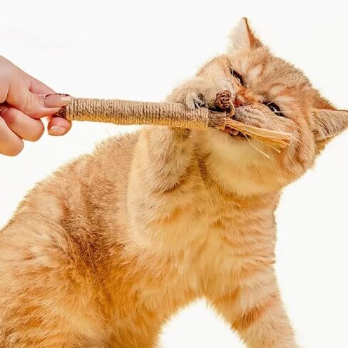cat chew Sticks - 3 Pack, Catnip chew Sticks cat Toys, Teething Toys, Suitable for so Age and Breed of Cats（Raffia） in Saudi Arabia