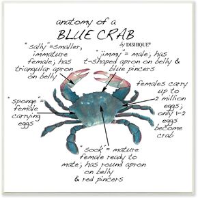 Stupell Industries Crab Anatomy Facts Educational Sea Life Diagram, Design by Dishique