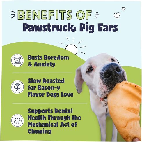 Pawstruck Natural Monster Pig Ears for Dogs - Premium Slow Roasted Puffed Pork Chew Treats for Large & Medium Breeds - Single Ingredient 100% Digestible Rawhide Free - 4 Count - Packaging May Vary in Kuwait