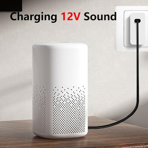 SinLoon 12V Type C to DC 4.0 x 1.7mm Power Charging Cable, 59inch USB C Male to DC4017 Male Extension Charge Cable for 12V Router, Camera, TV Box, Desk Lamp, Electric Tool 1.5M (12V) in Saudi Arabia
