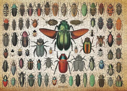 Insects Puzzles for Adults 1000 Pieces and up, PICKFORU Vintage Puzzle with 73 Colorful Insects, Bugs Jigsaw Puzzles as Gift for Beetles Lovers in Saudi Arabia