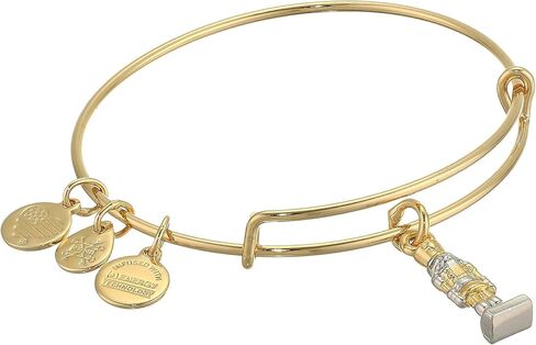 ساعة Alex and Ani الخيرية من Design ، سوار كسارة البندق ، بلونين in Saudi Arabia