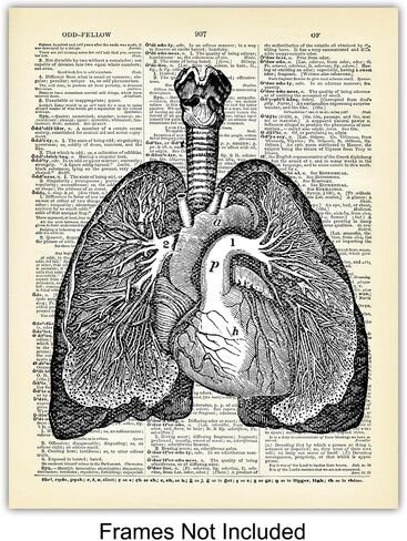Heart, Lungs, Brain, Intestine Anatomy Organs - Upcycled Dictionary Wall Art Prints for Medical Clinic, Office - 8x10 Vintage Steampunk Goth Decor Set - Gift for Doctor, Nurse, Med School, Student in Saudi Arabia
