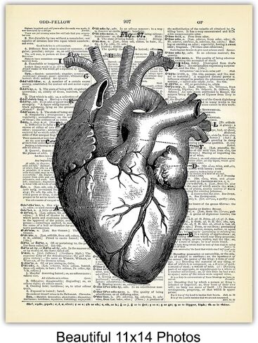 Heart, Lungs, Brain, Intestine Anatomy Organs - Upcycled Dictionary Wall Art Prints for Medical Clinic, Office - 8x10 Vintage Steampunk Goth Decor Set - Gift for Doctor, Nurse, Med School, Student in Saudi Arabia