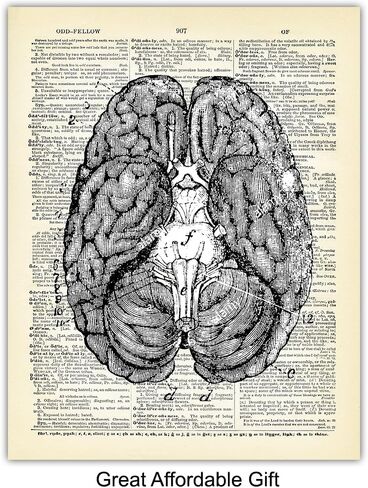 Heart, Lungs, Brain, Intestine Anatomy Organs - Upcycled Dictionary Wall Art Prints for Medical Clinic, Office - 8x10 Vintage Steampunk Goth Decor Set - Gift for Doctor, Nurse, Med School, Student in Saudi Arabia