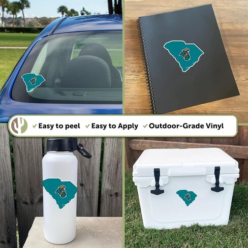 Desert Cactus Coastal Carolina University Chanticleers CCU CINO Vinyl Decal Laptop Water Bottle Car Scrapbook (State Border Sticker) in Saudi Arabia