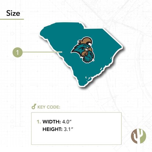 Desert Cactus Coastal Carolina University Chanticleers CCU CINO Vinyl Decal Laptop Water Bottle Car Scrapbook (State Border Sticker) in Saudi Arabia
