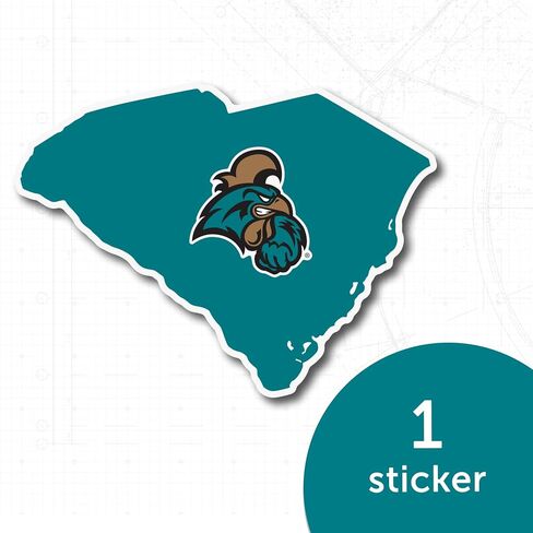 Desert Cactus Coastal Carolina University Chanticleers CCU CINO Vinyl Decal Laptop Water Bottle Car Scrapbook (State Border Sticker) in Saudi Arabia