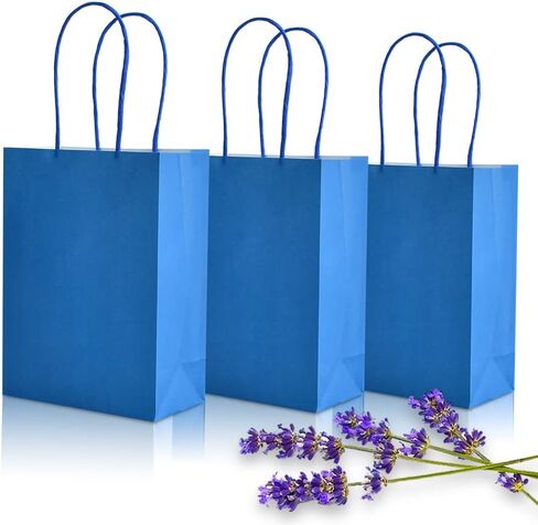 BEISHIDA Small Gift Bags Party Favor Bags Paper Gift Bags Blue Gift Bags with Handles Birthday Gift Bags (6.5 x 4.5 x 2.5 Inch, 20PCS) in Saudi Arabia