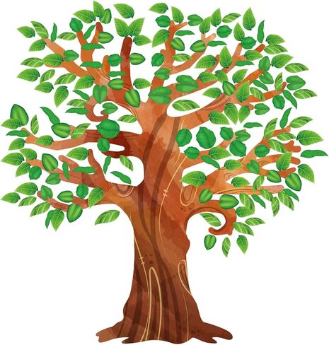 Classroom Tree Bulletin Board Set Tropical Leaves Summer Tree Decoration Cutouts for Classroom Wall Decor School Supplies in Saudi Arabia